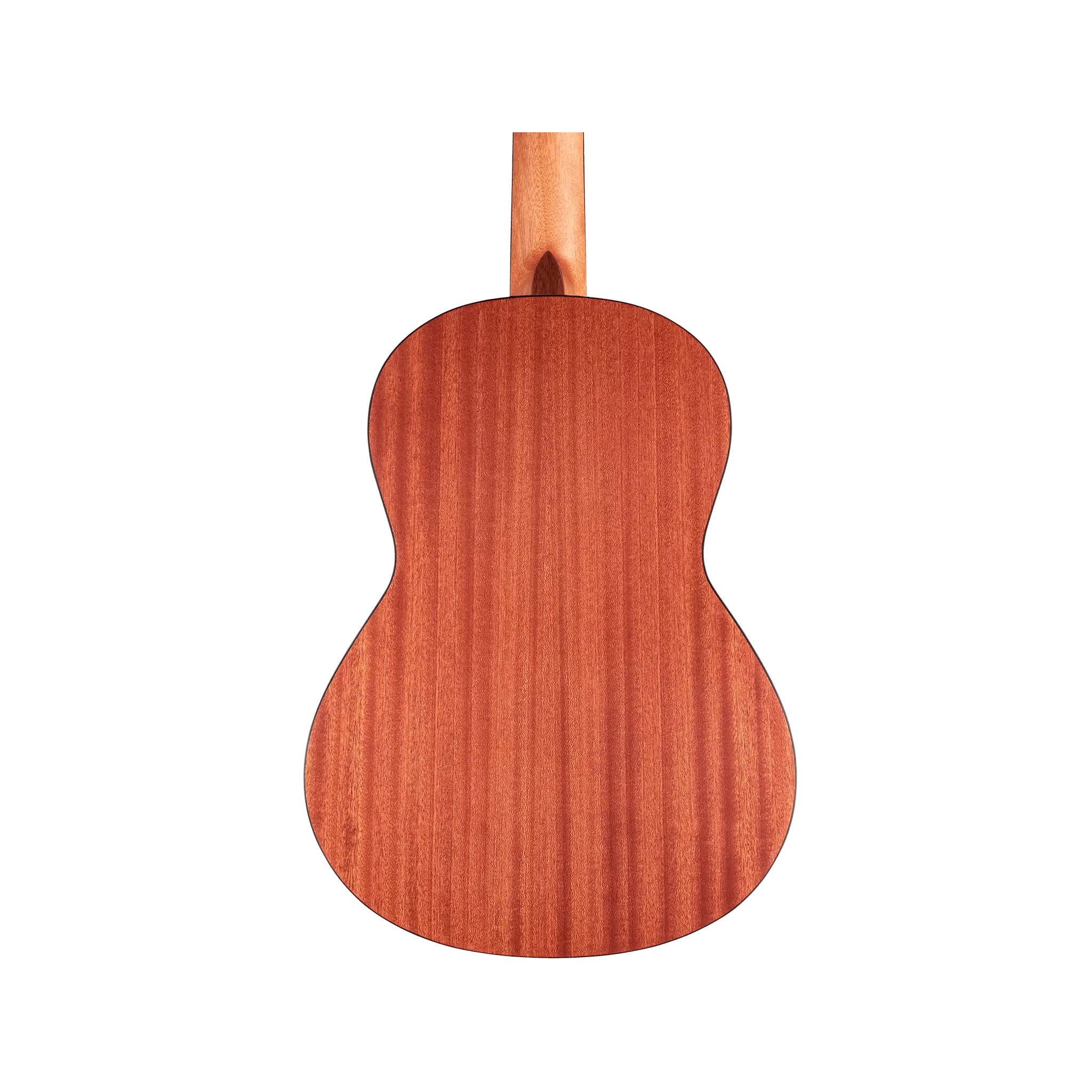 Cordoba Protege C1M 3/4 size Acoustic Guitars Cordoba Art of Guitar