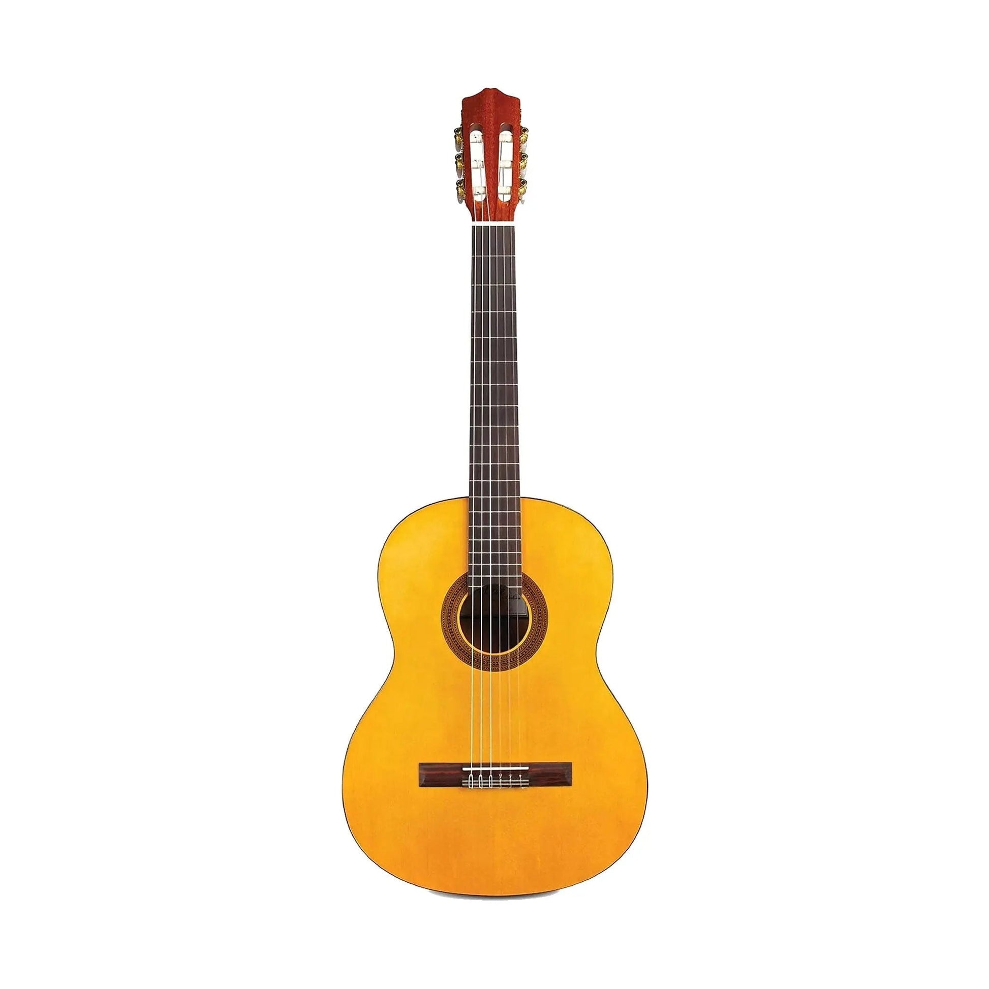 Protege by Cordoba C1 W/B Classical Guitars Cordoba Art of Guitar