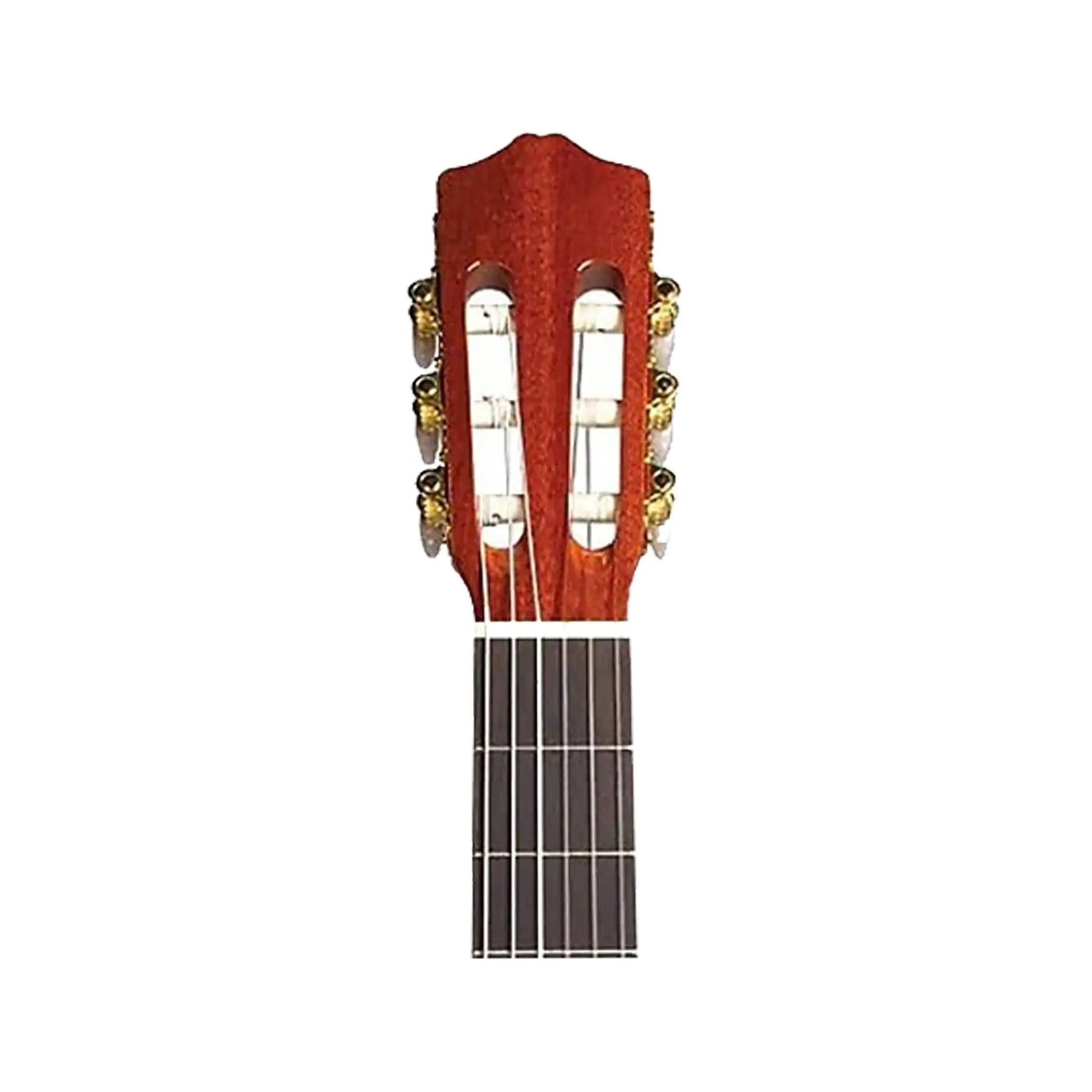 Protege by Cordoba C1 W/B Classical Guitars Cordoba Art of Guitar