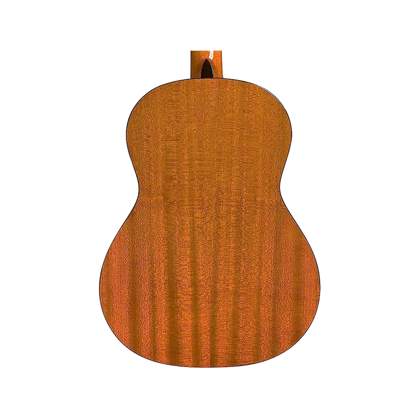 Protege by Cordoba C1 W/B Classical Guitars Cordoba Art of Guitar