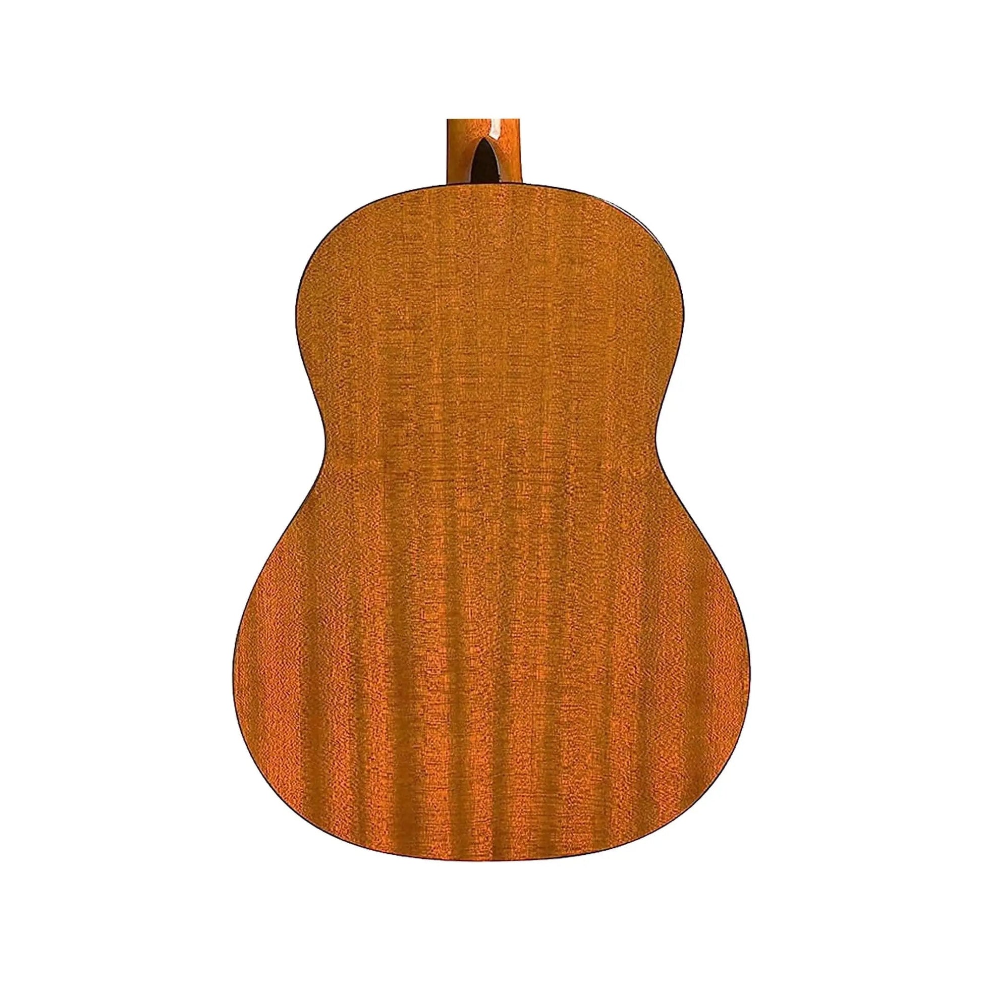 Protege by Cordoba C1 W/B Classical Guitars Cordoba Art of Guitar