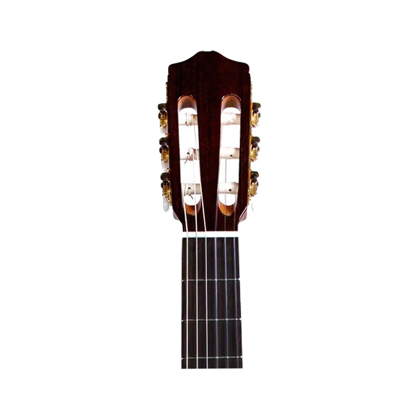 Cordoba C5-CE SP Classical Guitars Cordoba Art of Guitar