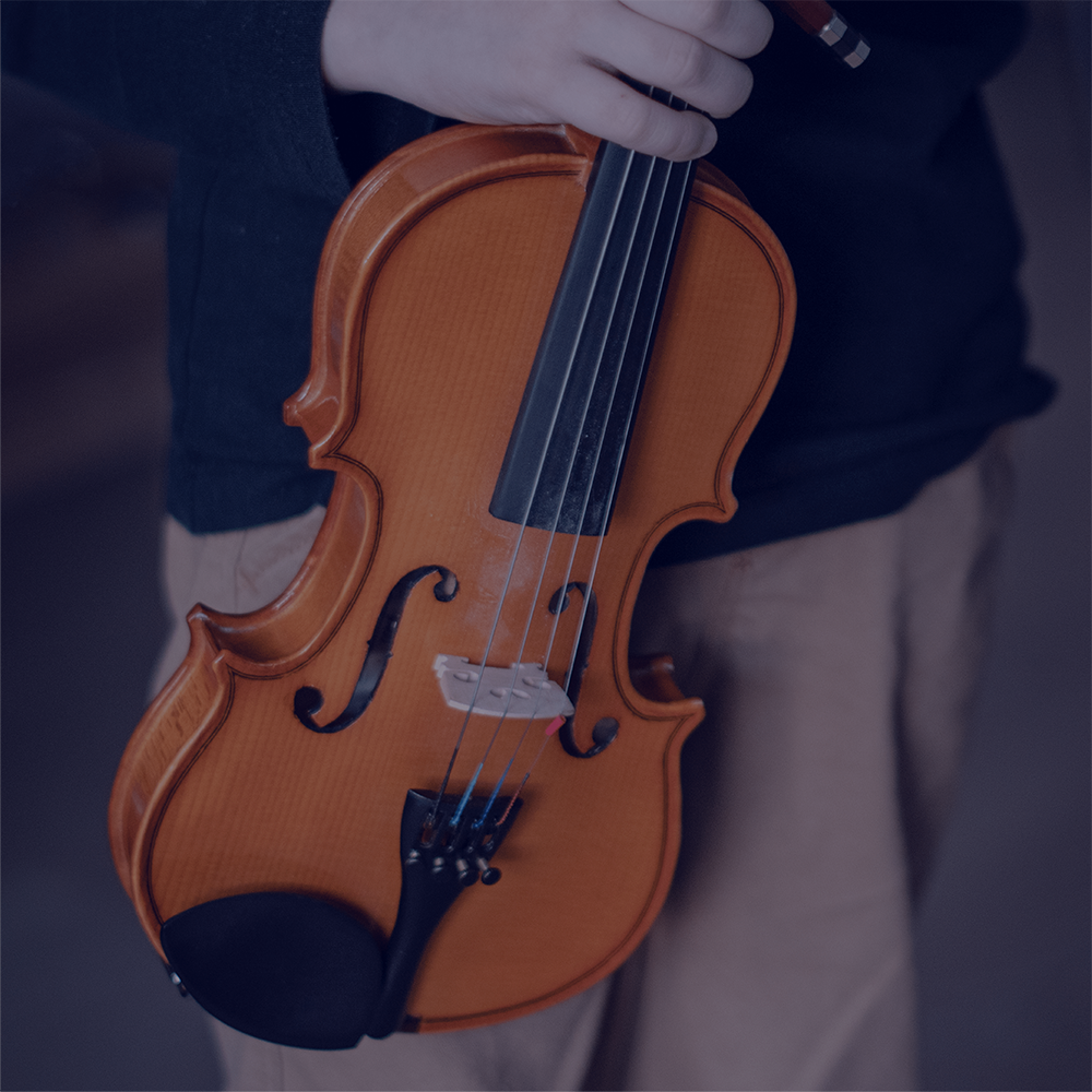 Violin Flex