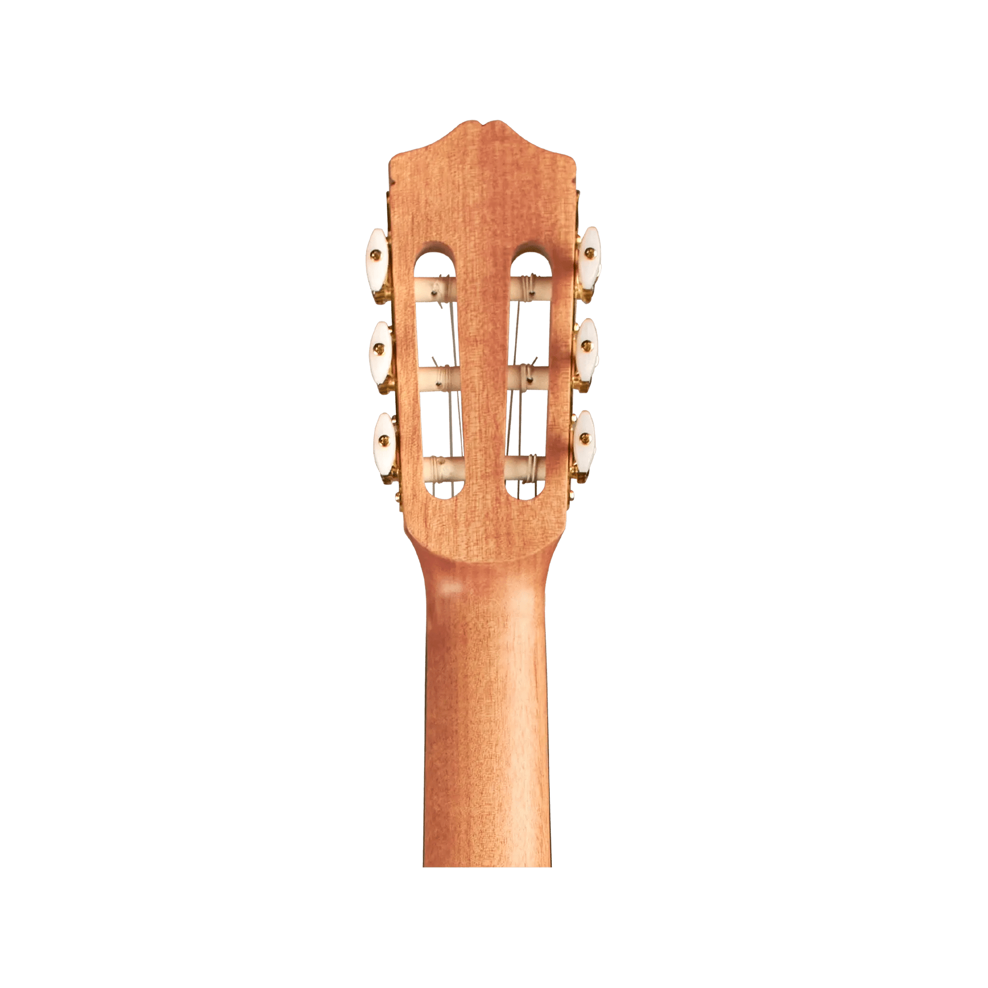 Cordoba Protege C1M 1/2 size Acoustic Guitars Cordoba Art of Guitar