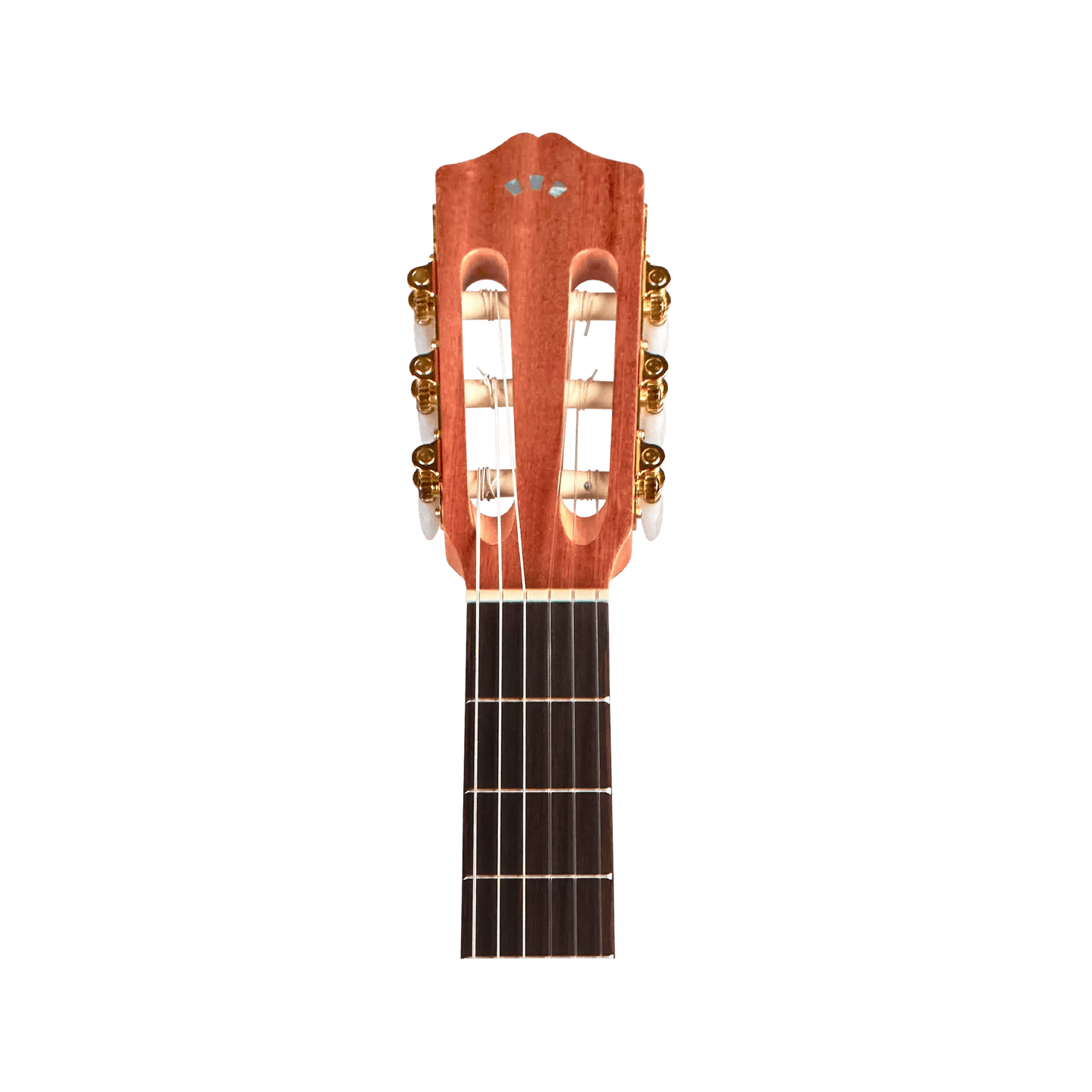 Cordoba Protege C1M 1/2 size Acoustic Guitars Cordoba Art of Guitar