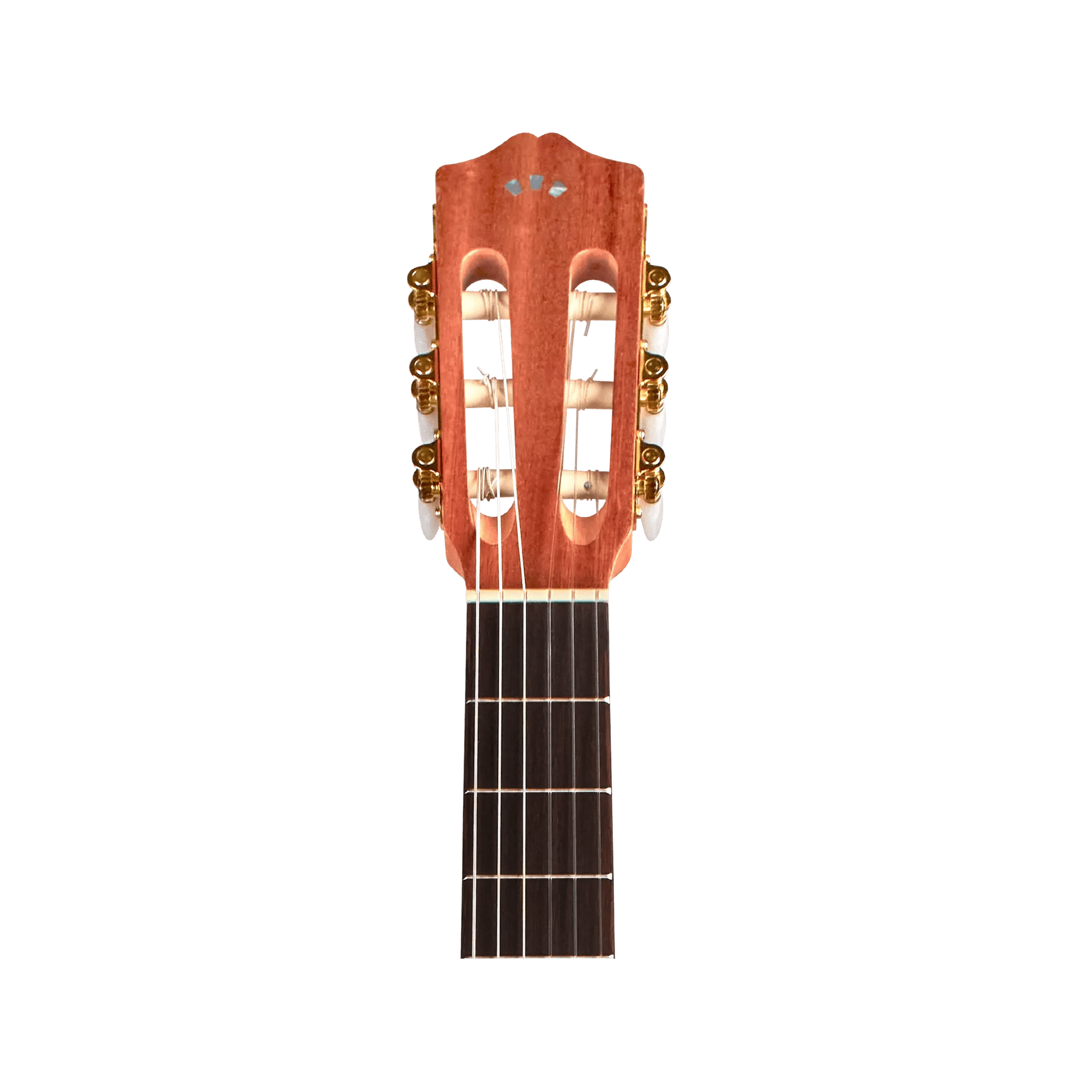 Cordoba Protege C1M 1/2 size Acoustic Guitars Cordoba Art of Guitar