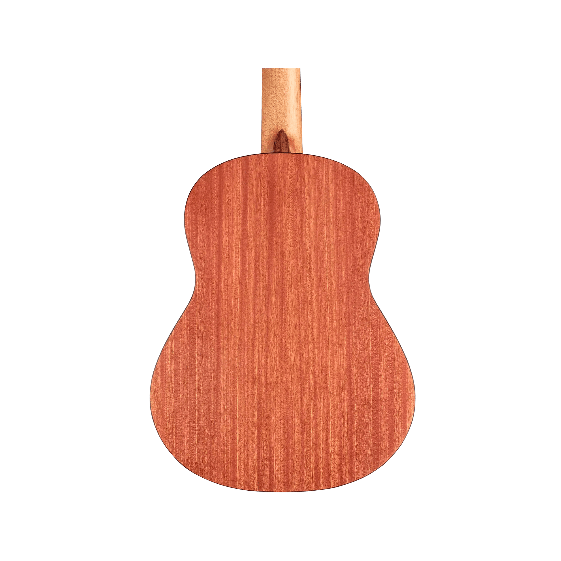 Cordoba Protege C1M 1/2 size Acoustic Guitars Cordoba Art of Guitar