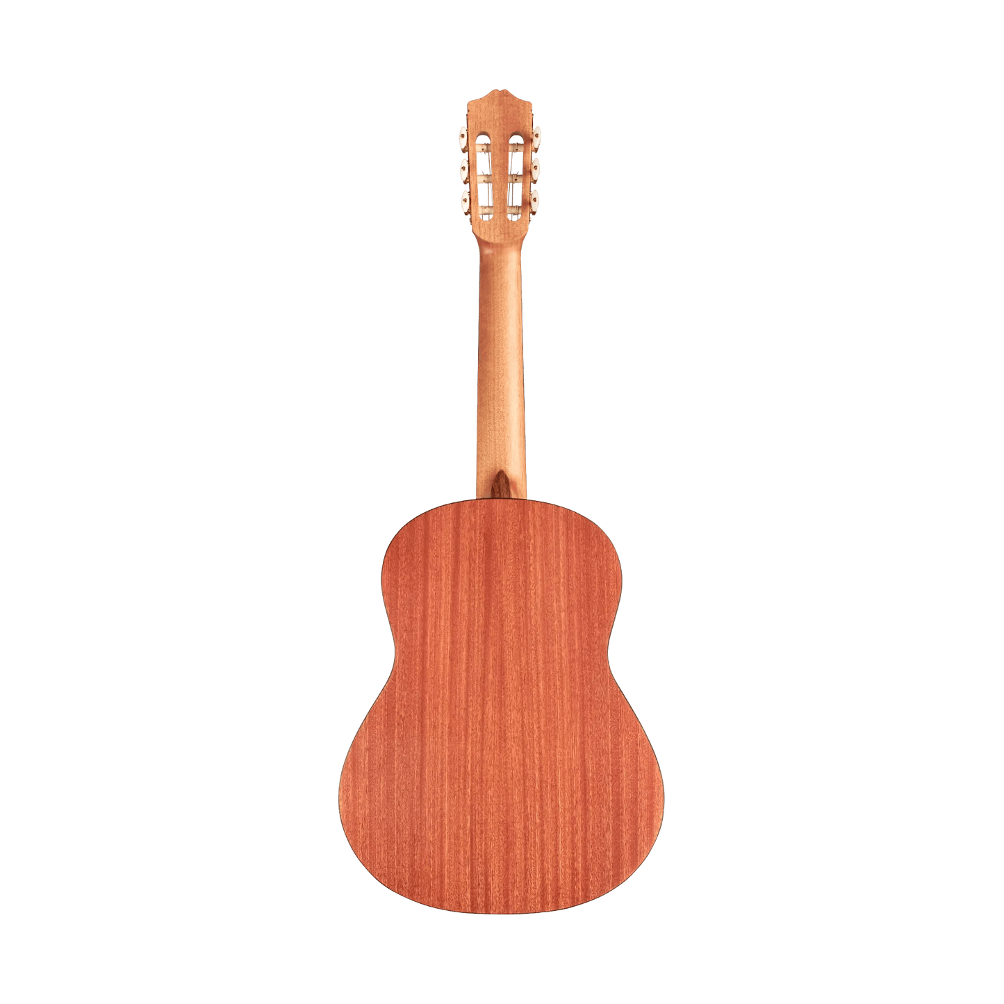 Cordoba Protege C1M 1/2 size Acoustic Guitars Cordoba Art of Guitar