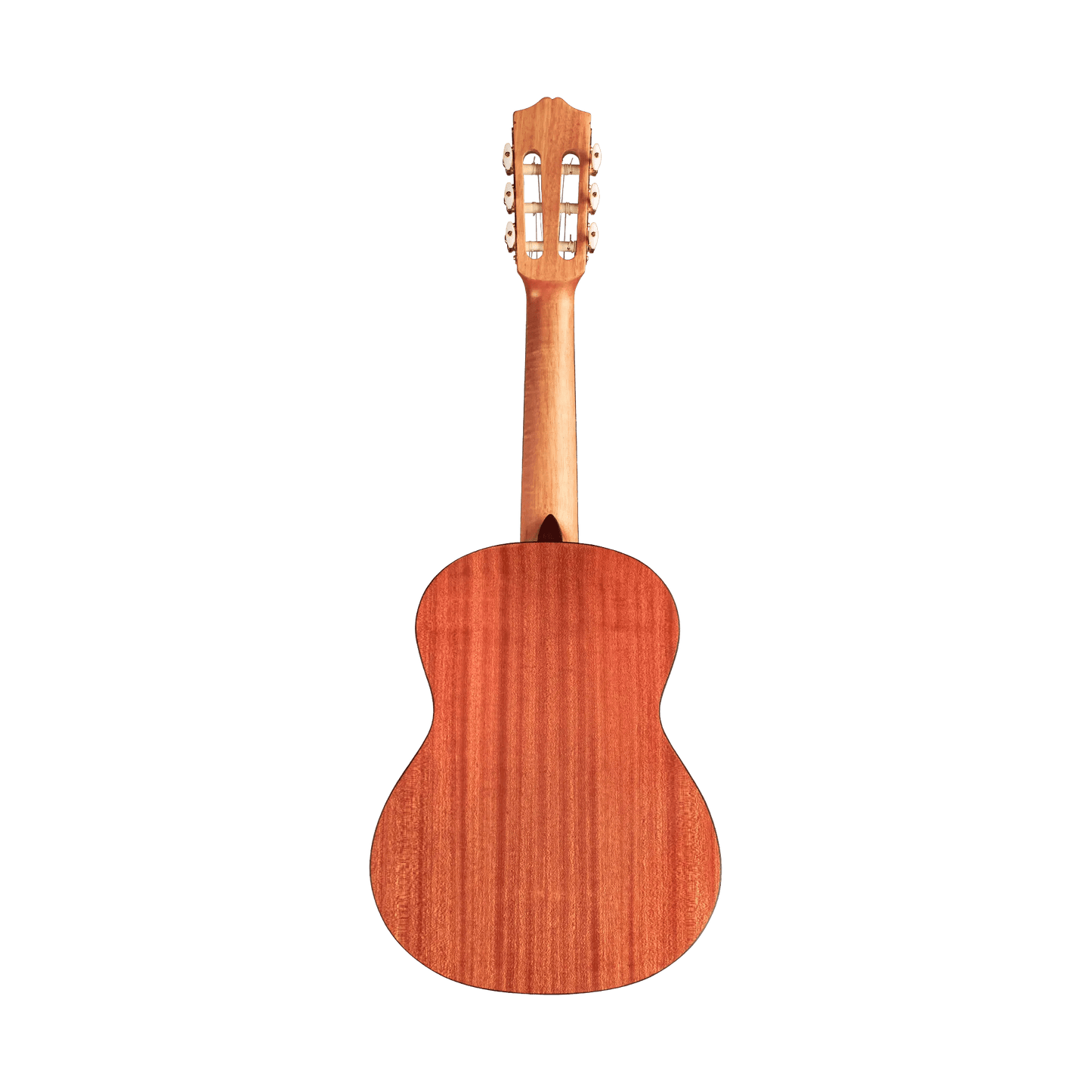 Cordoba Protege C1M 1/4 size Acoustic Guitars Cordoba Art of Guitar
