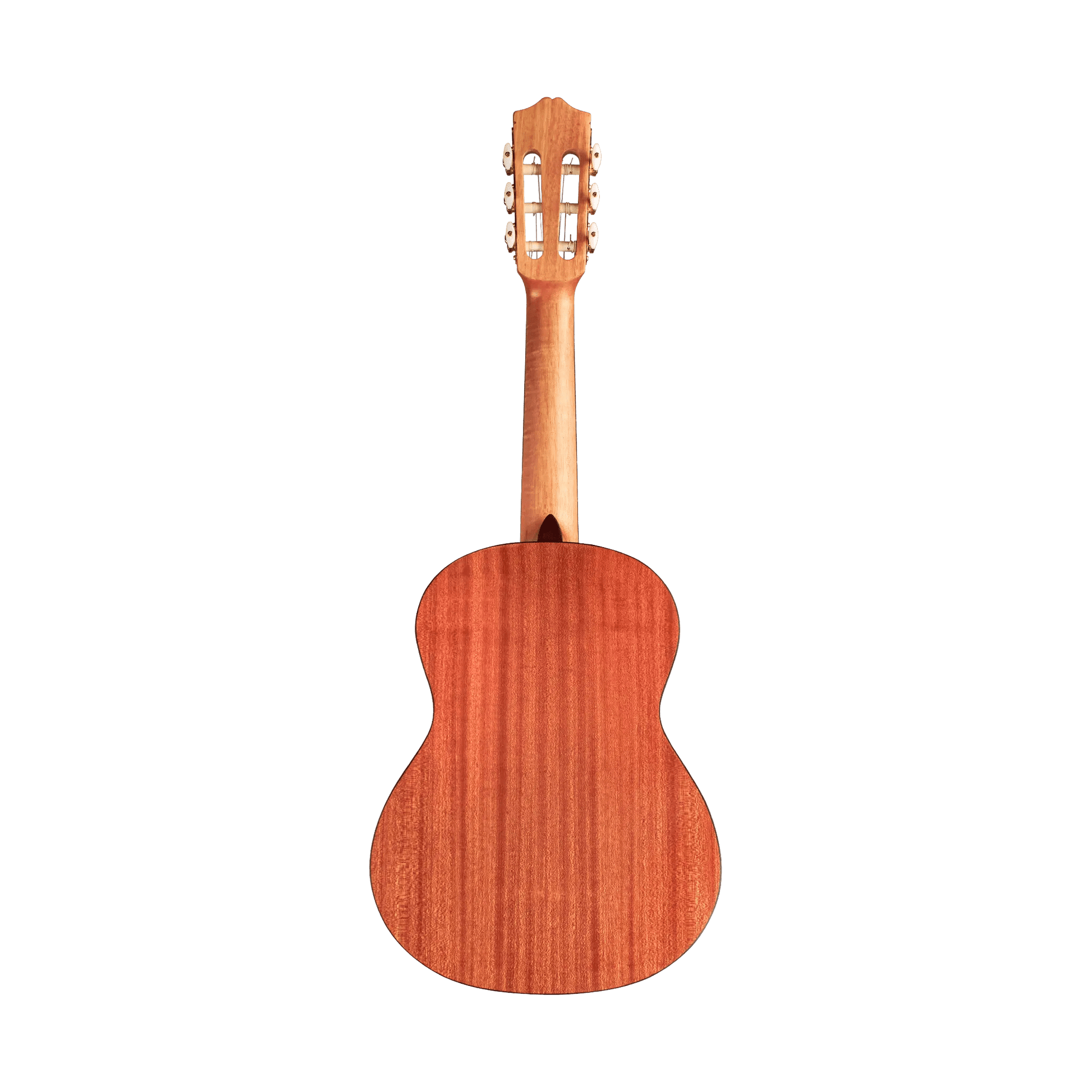 Cordoba Protege C1M 1/4 size Acoustic Guitars Cordoba Art of Guitar