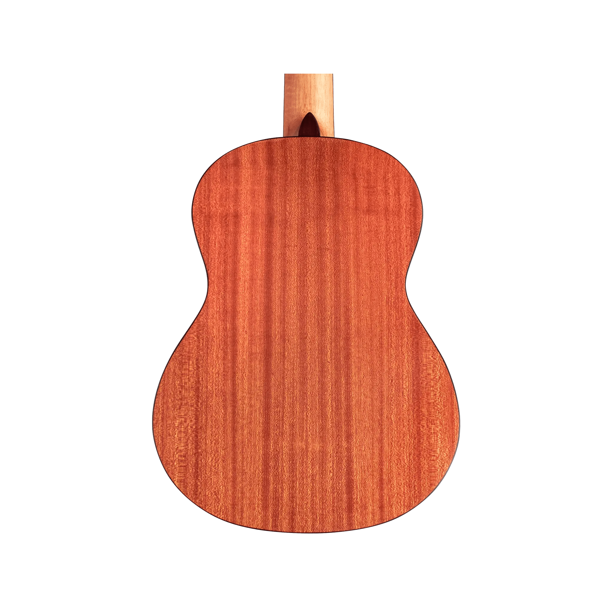 Cordoba Protege C1M 1/4 size Acoustic Guitars Cordoba Art of Guitar