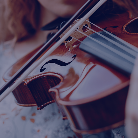 Violin Premium