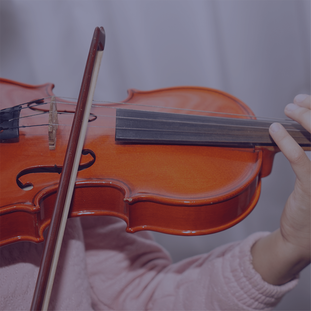Violin Saver