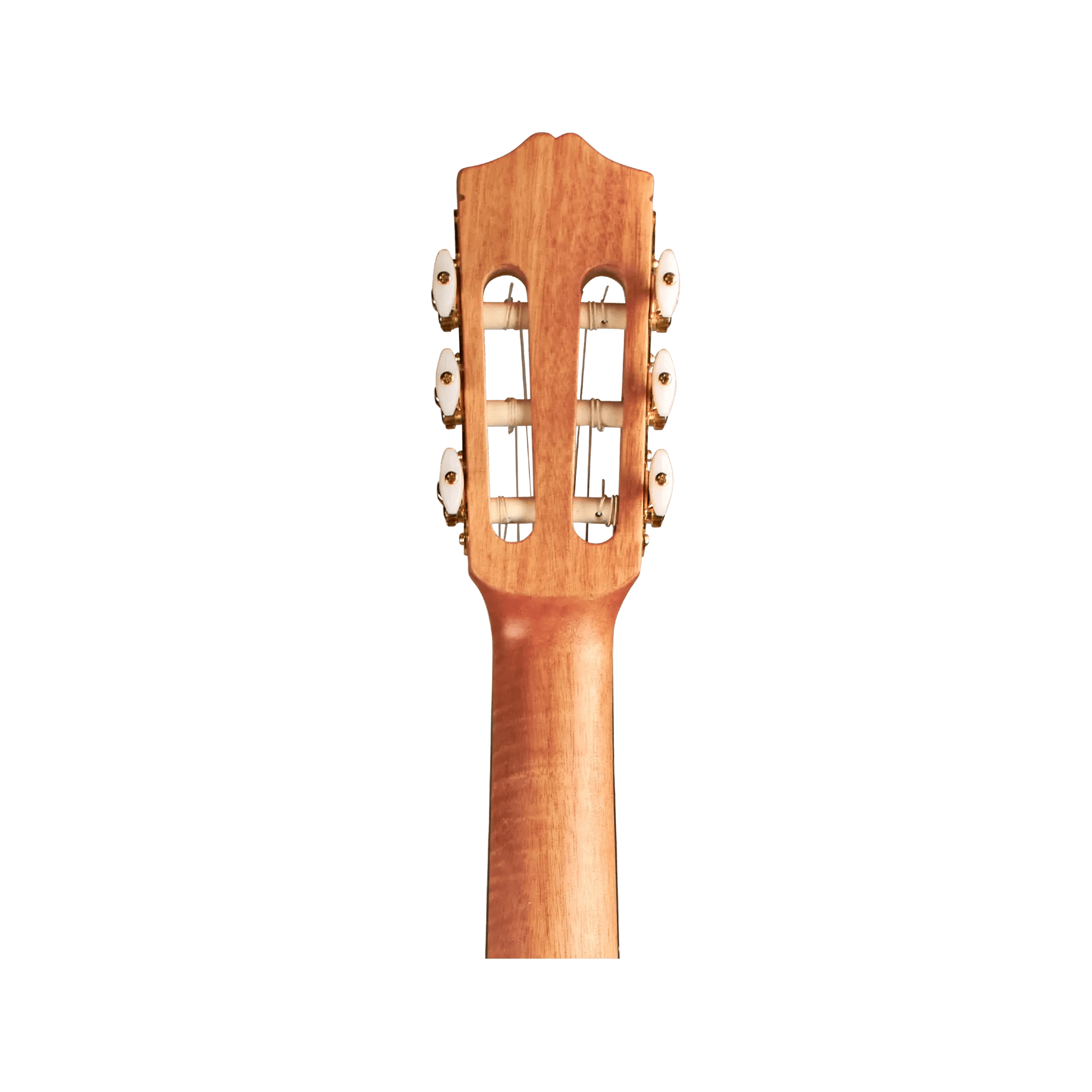 Cordoba Protege C1M 1/4 size Acoustic Guitars Cordoba Art of Guitar
