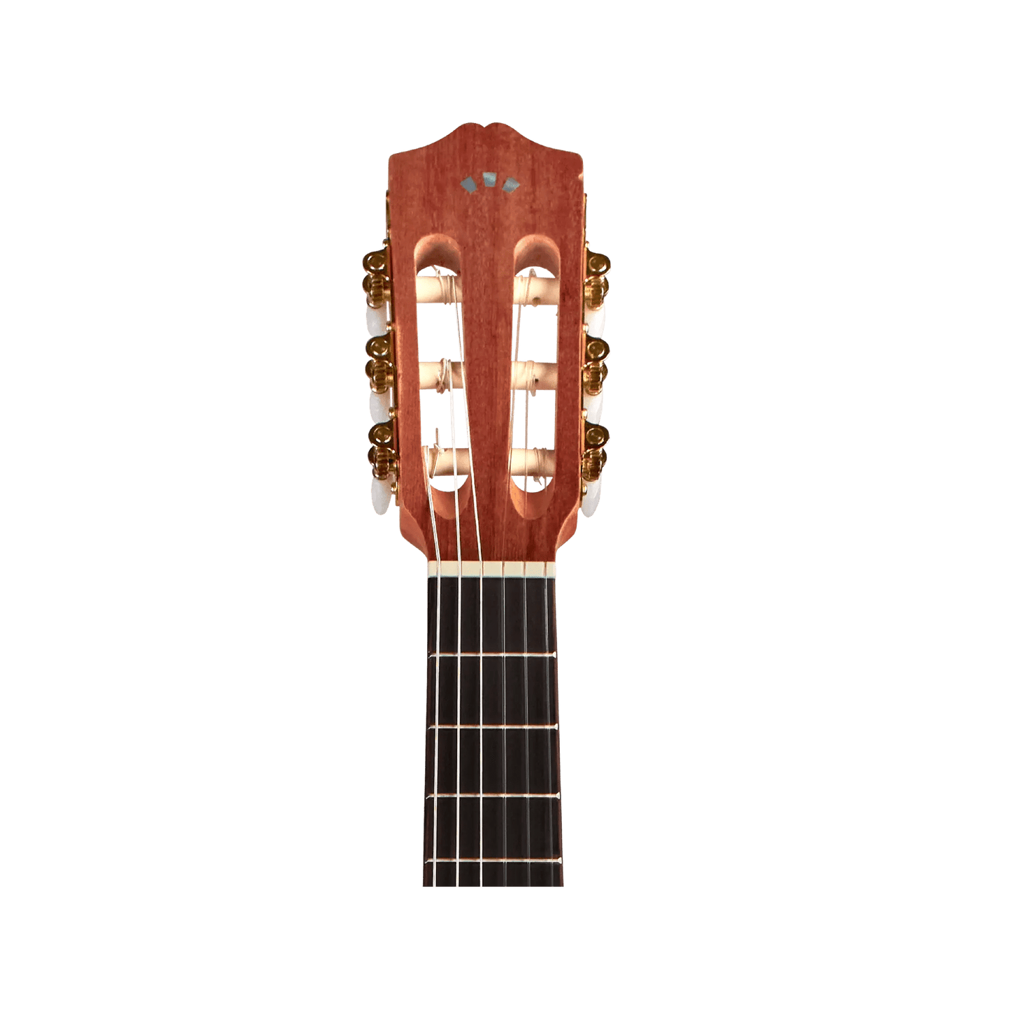 Cordoba Protege C1M 1/4 size Acoustic Guitars Cordoba Art of Guitar