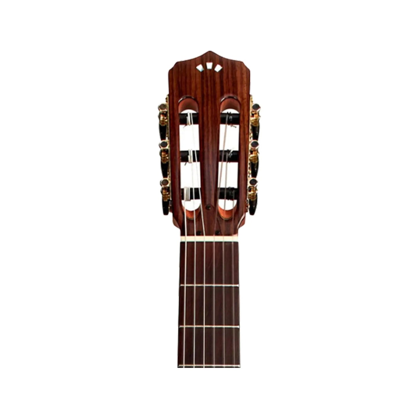 Cordoba Stage Natural Amber W/B Acoustic Guitars Cordoba Art of Guitar