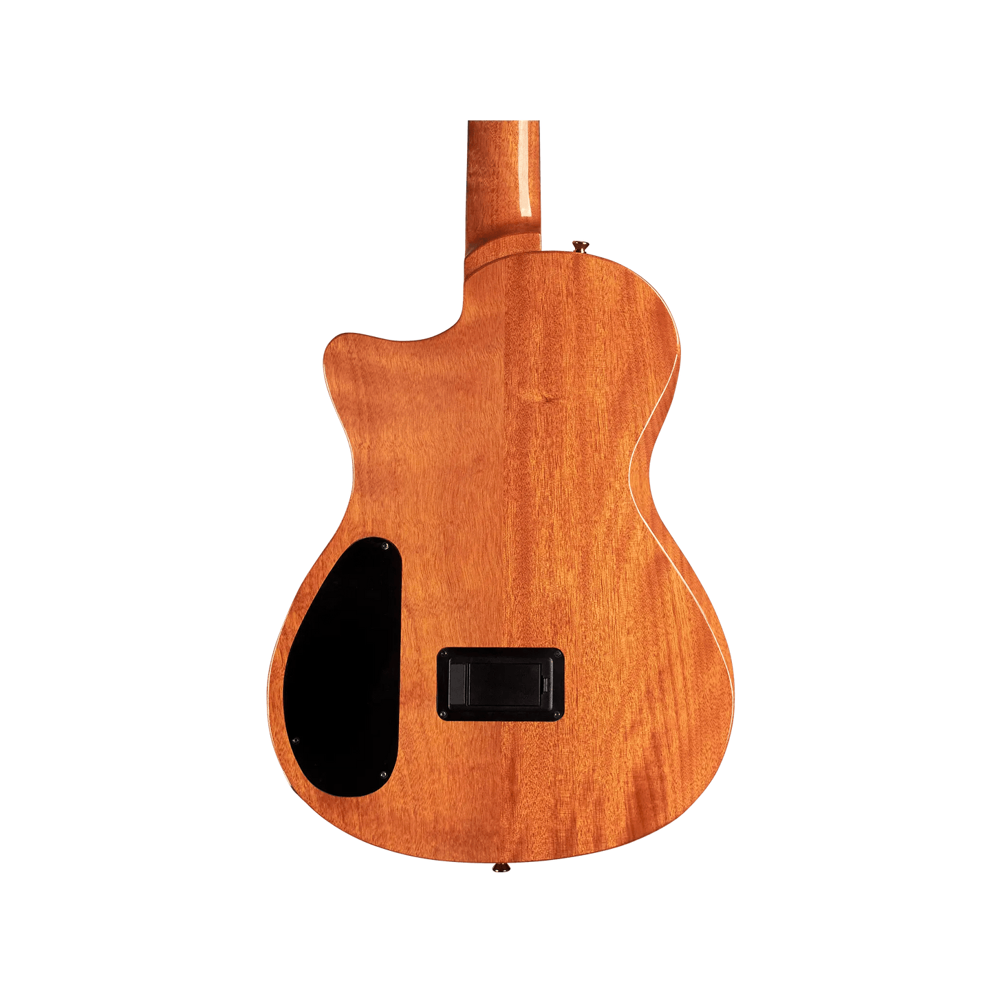 Cordoba Stage Natural Amber W/B Acoustic Guitars Cordoba Art of Guitar
