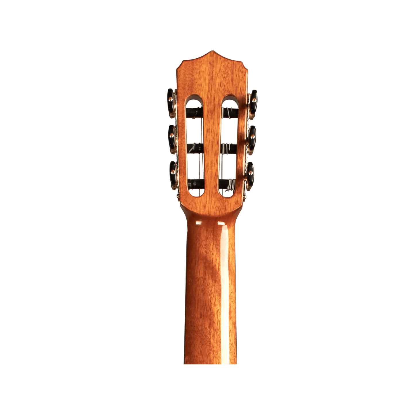 Cordoba Stage Natural Amber W/B Acoustic Guitars Cordoba Art of Guitar