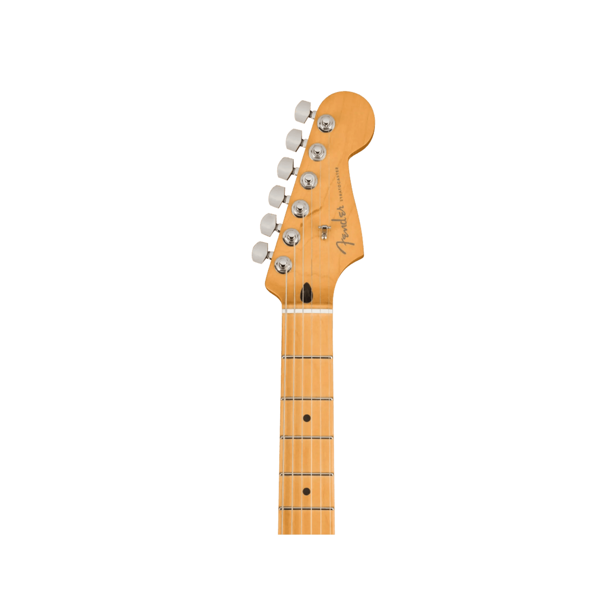 Player Plus Stratocaster - Tequila Sunrise Guitars Fender Art of Guitar